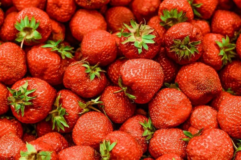 Bio-Erdbeeren, 500g Schale